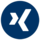 VRG-Social-Media-Icon-XING