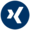 VRG-Social-Media-Icon-XING