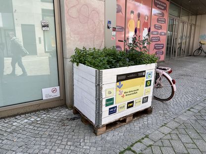 VRG_ImmerBunt_Bluehkasten__4_