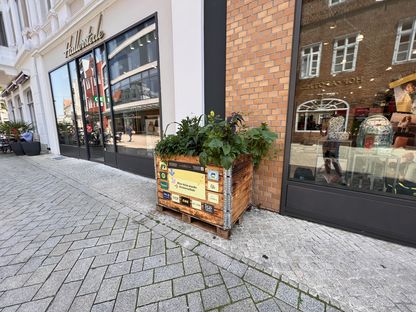 VRG_ImmerBunt_Bluehkasten__19_