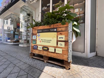 VRG_ImmerBunt_Bluehkasten__9_