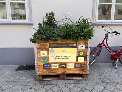 VRG_ImmerBunt_Bluehkasten__16_