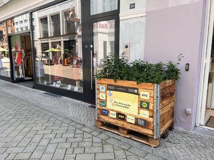 VRG_ImmerBunt_Bluehkasten__1_